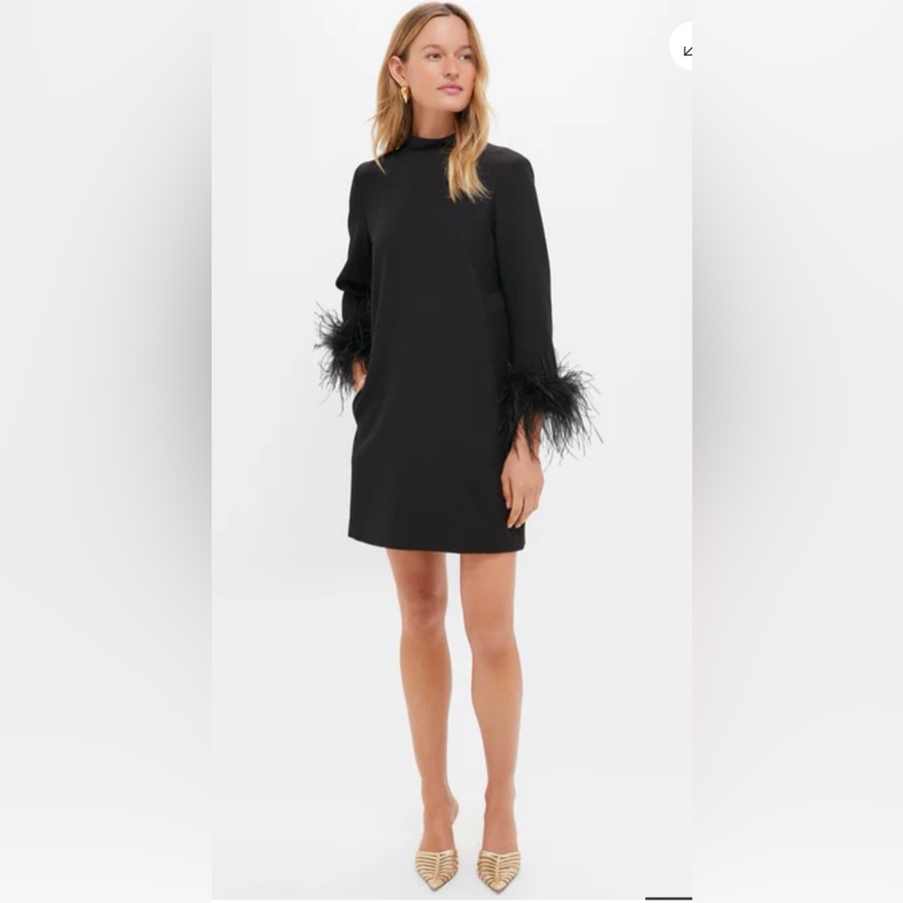 NWT Tuckernuck Black Feather Mod Ellie Dress , Large - Picture 3 of 13